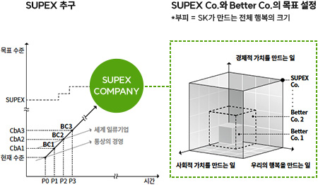 CUPEX Company