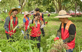 생태계 보호 활동 봉사 사진