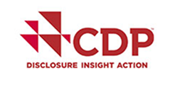 CDP DISCLOSURE INSIGHT ACTION